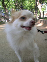 jyasu3