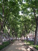 jyasu1
