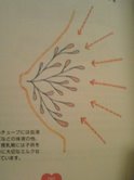チューブ