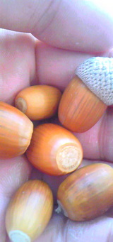 89d75dc5.jpg