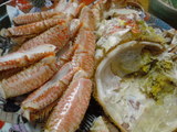 765f4638.jpg