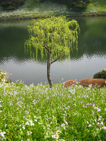 祝田橋付近 2008/04/05