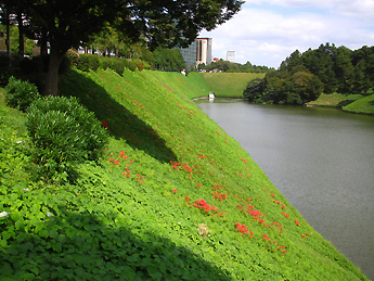 ���� 2009/09/24