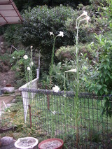 8c349f56.JPG