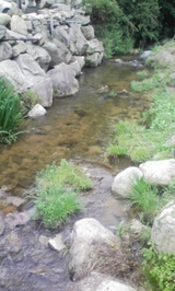 91d7014d.JPG