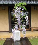 20090508_99_1