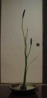 20090508_99_4