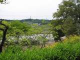 20090504_88