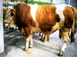 212efcf9.jpg