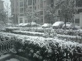 b01c3f42.JPG