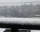 3eeb9155.JPG