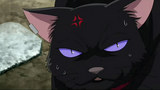 mao