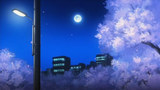 yozakura