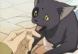 neko