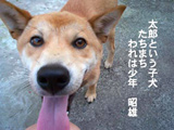 �ڤ��ڤ���Ϻ