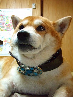 なんか強そう
