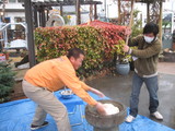 餅つき
