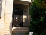 SANY0310