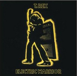 Electric Warrior