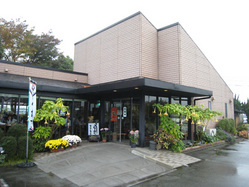 ���ʤ�����Ź���ޤĤ�Ȥγ���