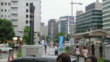 NEC_0537