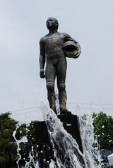 782e5584.jpg
