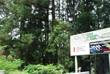 f69eb023.JPG