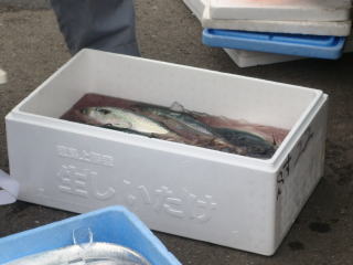 スチロール箱
