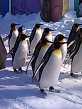 40e84226.JPG