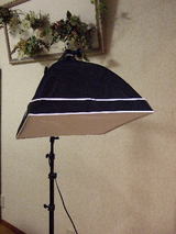 8f86598d.jpg