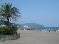 ���첹��
