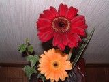 1c226218.jpg
