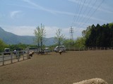 2ec117c4.jpg