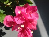 678b79f0.jpg
