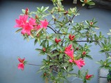 a972067a.jpg