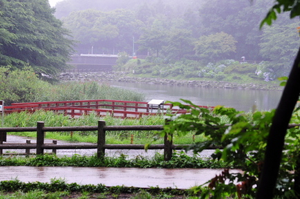 izumi02