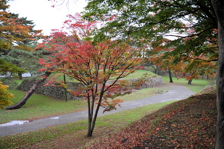 conv0006