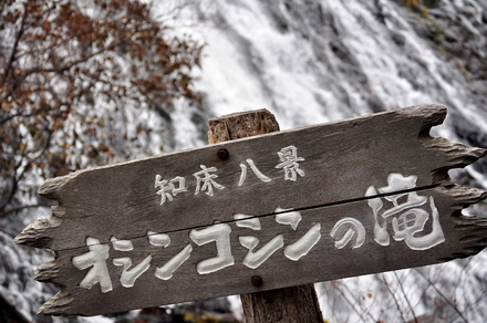 Oshinkoshin1