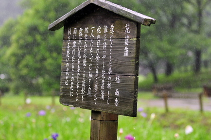 izumi06