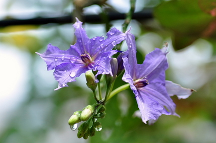 F07