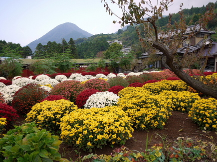 yakurazawa1