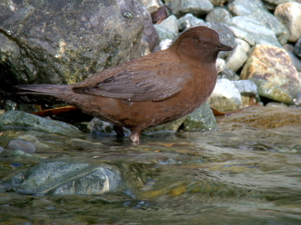 ���܎��ގ׎�2