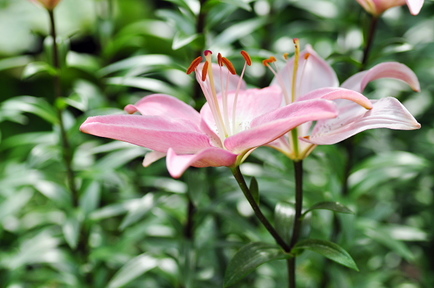 F08