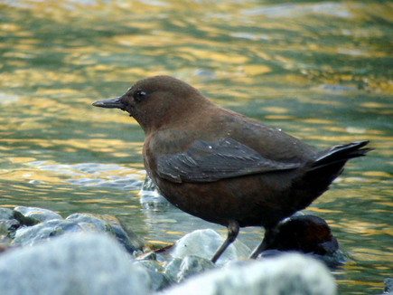���܎��ގ׎�3
