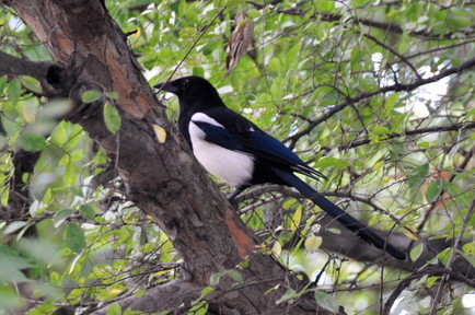 kakurinji9