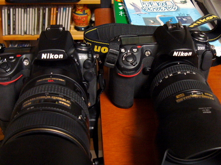 nikon