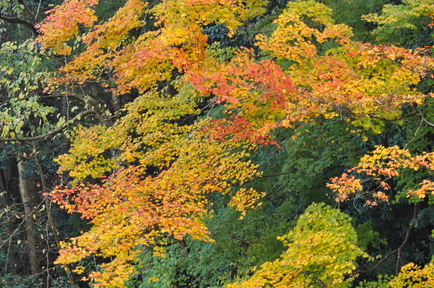 keshiki1