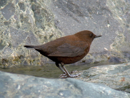 ���܎��ގ׎�3