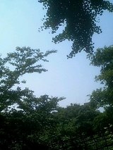 有酸素王子4