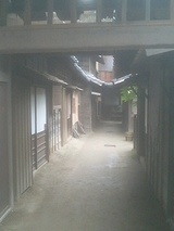 京都24